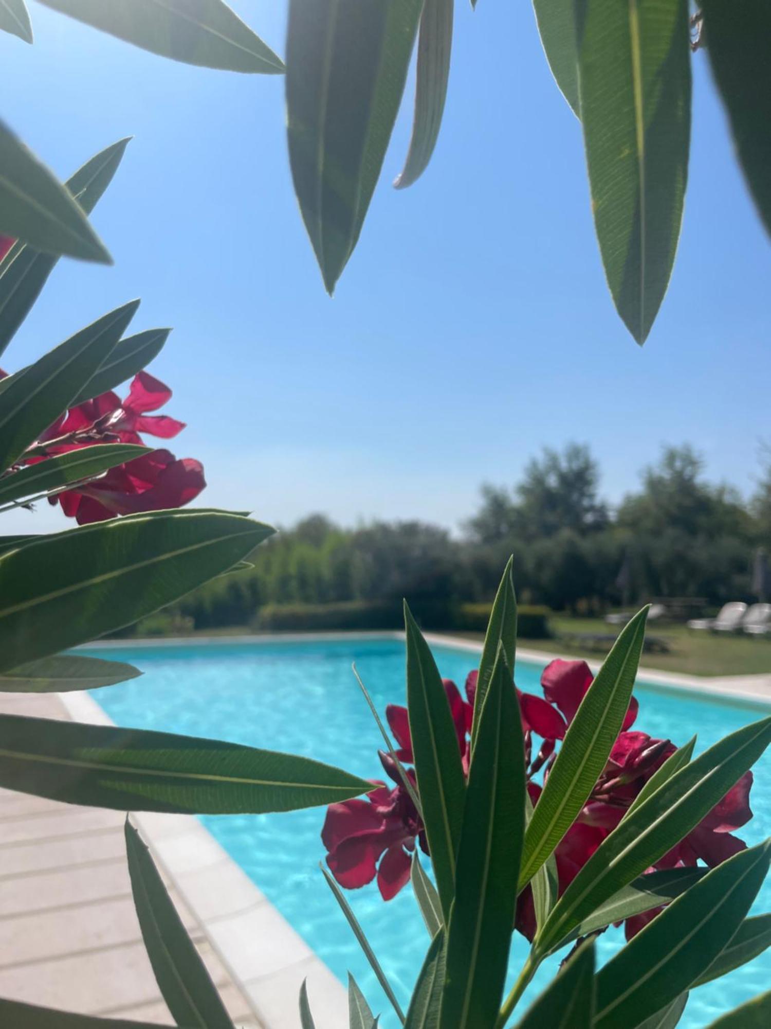 Agriturismo Antica Dimora Del Turco ソーナ エクステリア 写真