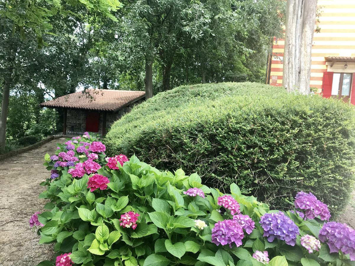 Agriturismo Antica Dimora Del Turco ソーナ エクステリア 写真